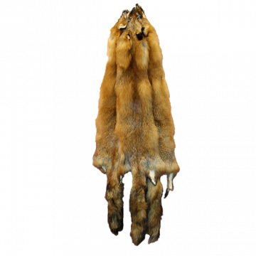 Quebec Wild Red Fox Pelt