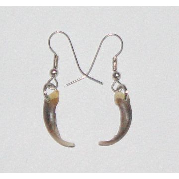 Fox Claw Earrings E-31