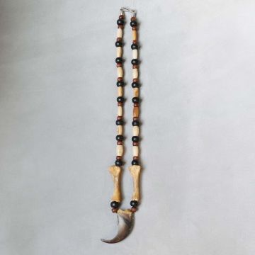 Bear Claw and Bone Necklace #538