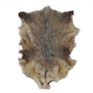 North American Opossum Fur Pelt