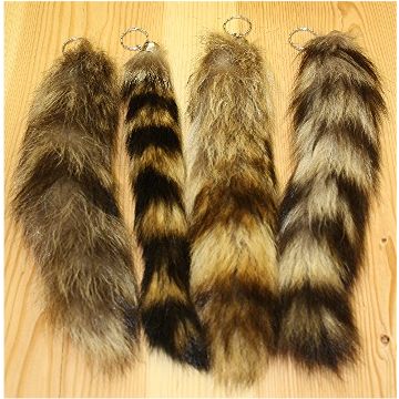 Imported Raccoon Tail Keychain