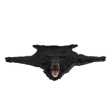Black Bear Rug #rgg712663