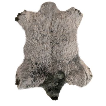 Bear Sheepskin Rug-Gray