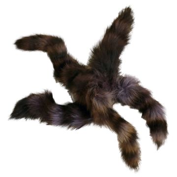 Raccoon Tail - Tinted