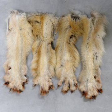 Wolf Paws - Full Set of 4